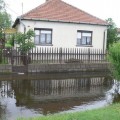 Belv�z K�r�stet�tlenen!