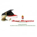 BURSA HUNGARICA SZTNDJPLYZAT 2024